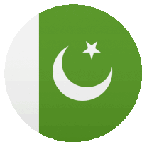 a green circle with a crescent moon and a star on it