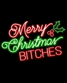 a neon sign that says merry christmas bitches on it .