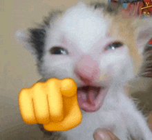 a cat is pointing at the camera with a yellow fist emoji