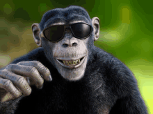 a chimpanzee wearing sunglasses is smiling and pointing at the camera