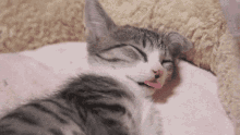 a cat sleeping on a pink blanket with its tongue out