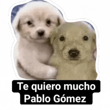 a sticker that says te quiero mucho pablo gomez with two puppies