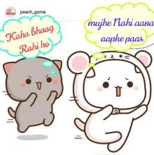 a cartoon of a cat and a bear with speech bubbles that say kaha bhaga rahi ho