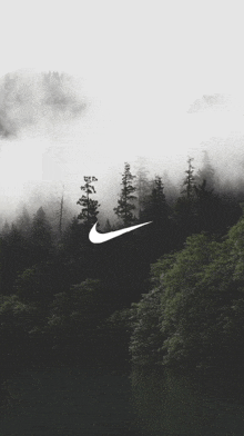 a black and white photo of trees and a nike logo