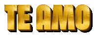 the word te amo is in gold letters on a white background