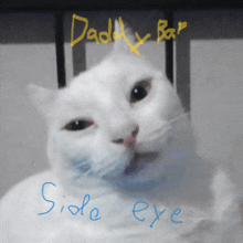 a white cat with the words side eye written in blue