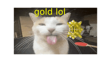 a cat is sticking its tongue out with the words gold lol written above it