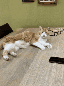 an orange and white cat laying on a table next to a cell phone and glasses