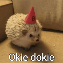 a hedgehog wearing a party hat with the number eight on it