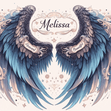 the name melissa is on the front of a pair of angel wings