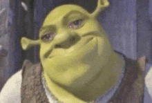 shrek from shrek is making a funny face with his eyes closed .