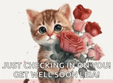 a kitten is holding a bouquet of pink roses with the words just checking in on you get well soon leia