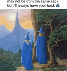 a painting of two wizards with a caption that says may not be from the same sack but i 'll always have your