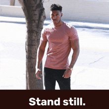 a man in a pink shirt is standing in front of a tree and the words stand still are below him