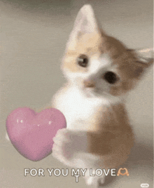 a kitten is holding a pink heart with the words for you my love written below it