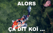 a picture of a fish with the words " alors ca dit koi " above it