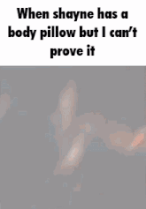 when shayne has a body pillow but i can 't prove it ,