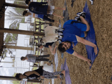 a man in a blue shirt is doing yoga with a goat