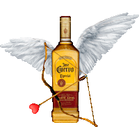 a bottle of jose cuervo especial with cupid wings and a bow and arrow