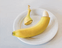 two bananas on a white plate one is peeled