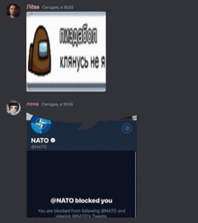 a screenshot of a discord chat with a picture of an among us character and a message that says " nato blocked you "