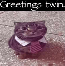 a cat wearing a shirt and tie with the words greetings twin