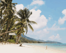 a sign on a palm tree says " welcome to the beach "