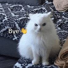 a white cat is sitting on a couch with the word bye written above it