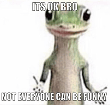 a picture of a lizard with a caption that says its ok bro not everyone can be funny