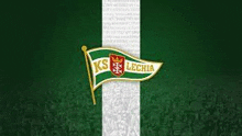 a green and white flag with a crown on it is on a green background .