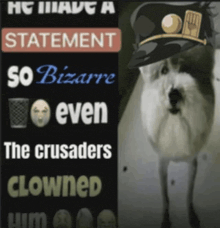 a dog wearing a hat that says he has a statement so bizarre even the crusaders clowned