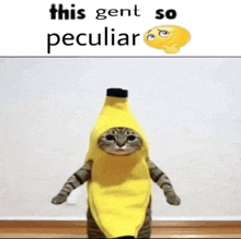 a cat dressed as a banana with a smiley face .