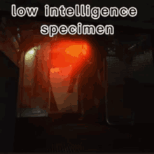 a red light is shining in a dark room with the words low intelligence specimen below it