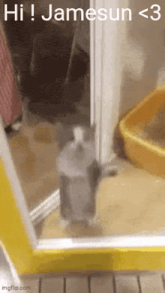 a cat is standing in front of a yellow door with the words hi jamesun < 3 written on it .