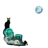 a black cat sitting on top of a rip gravestone