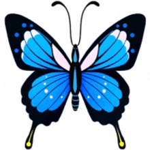 a blue and black butterfly with white spots on it 's wings