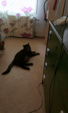 a black cat laying on the floor in front of a window