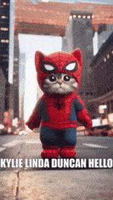 a cat dressed in a spiderman costume is standing on a city street