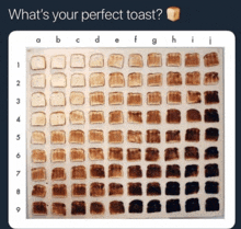 a grid of slices of toast with the words " what 's your perfect toast "