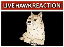 a picture of a dog next to a sign that says livehawk reaction