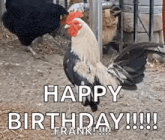 a rooster is standing next to a black chicken in a chicken coop and says `` happy birthday frank ! ''