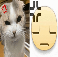 a cat with a red star on its head next to a smiley face