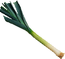 a green and white leeks on a white background