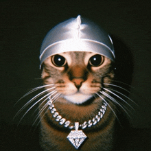 a cat wearing a hat and necklace with a diamond pendant