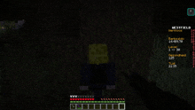 a screenshot of a video game called minecraft shows a person holding a gun in the dark .