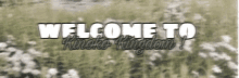 a blurred image of a field of flowers with the words welcome to kinoko kingdom