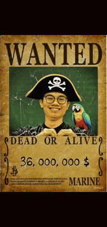 a wanted poster with a man in a pirate hat and parrot
