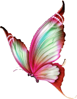 a butterfly with pink and green wings and a white background