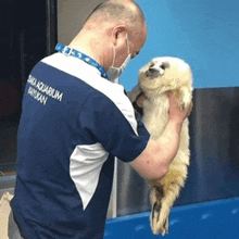 a man wearing a blue shirt that says aquarium on the back holds a seal