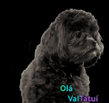 a black and white photo of a dog with the words olá valtatui written on it